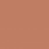 Spray Multi Uso Suvinil 400 Ml Cobre Brilhante - Suvinil